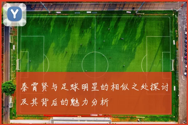 秦霄贤与足球明星的相似之处探讨及其背后的魅力分析