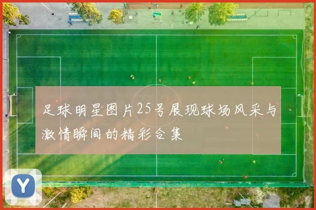 足球明星图片25号展现球场风采与激情瞬间的精彩合集