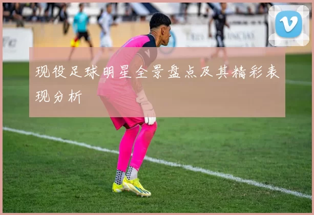 现役足球明星全景盘点及其精彩表现分析