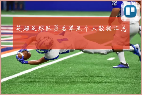 英超足球队员名单及个人数据汇总