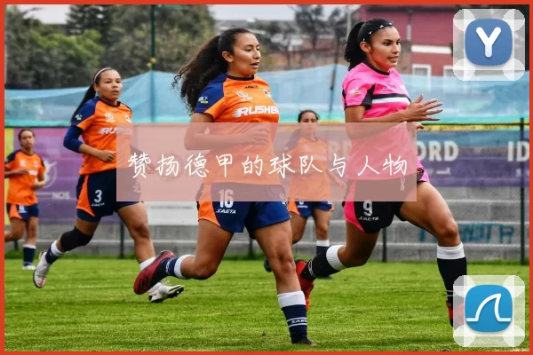 赞扬德甲的球队与人物