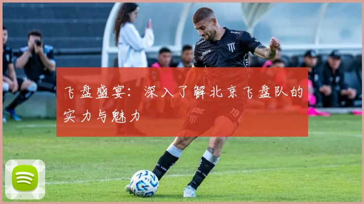 飞盘盛宴：深入了解北京飞盘队的实力与魅力