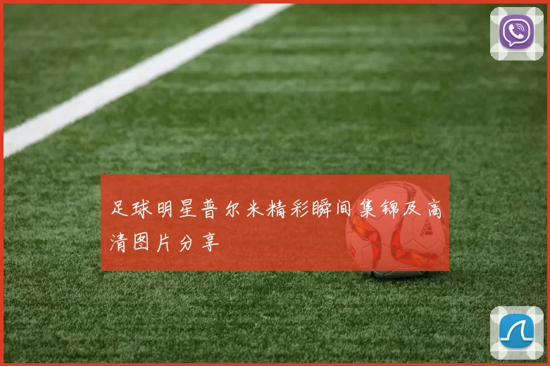 足球明星普尔米精彩瞬间集锦及高清图片分享