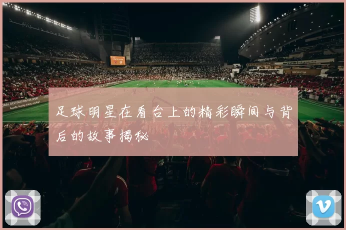 足球明星在看台上的精彩瞬间与背后的故事揭秘