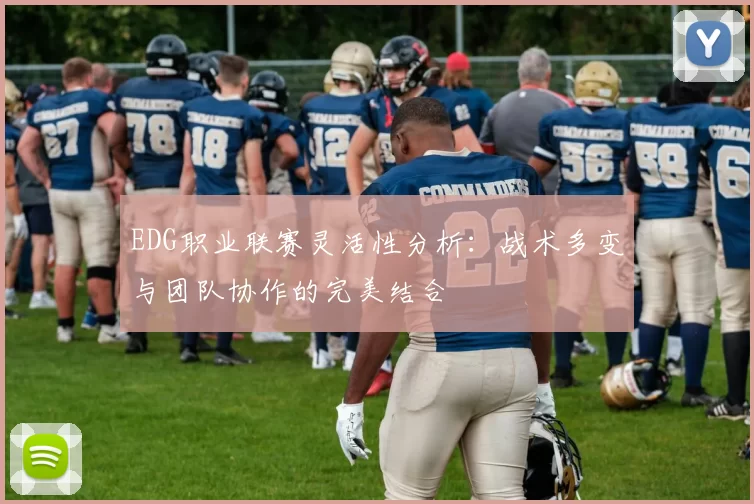 EDG职业联赛灵活性分析：战术多变与团队协作的完美结合