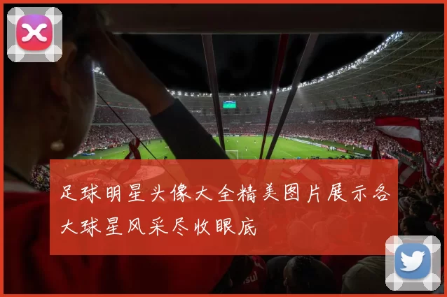 足球明星头像大全精美图片展示各大球星风采尽收眼底