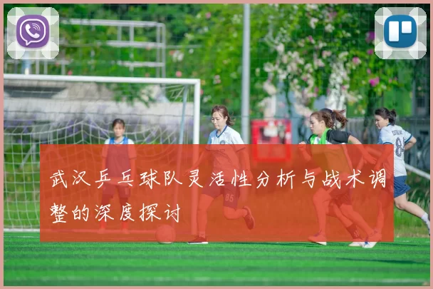 武汉乒乓球队灵活性分析与战术调整的深度探讨