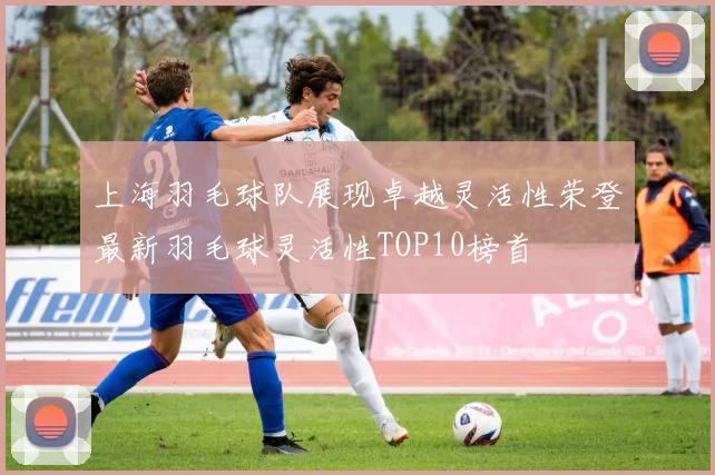 上海羽毛球队展现卓越灵活性荣登最新羽毛球灵活性TOP10榜首