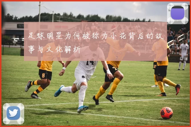 足球明星为何被称为小花背后的故事与文化解析