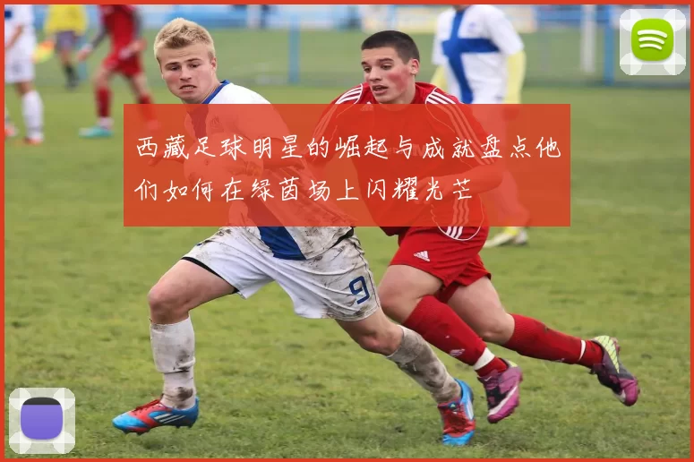 西藏足球明星的崛起与成就盘点他们如何在绿茵场上闪耀光芒