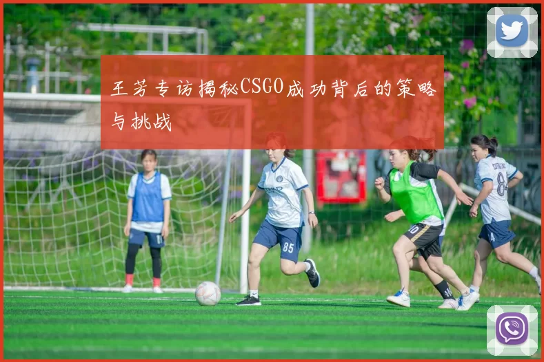 王芳专访揭秘CSGO成功背后的策略与挑战