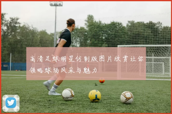 高清足球明星仿制版图片欣赏让你领略球场风采与魅力