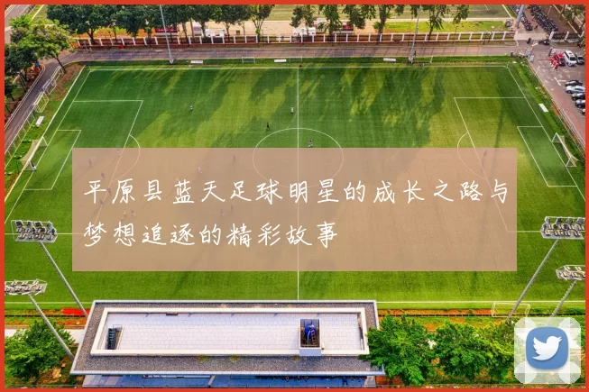 平原县蓝天足球明星的成长之路与梦想追逐的精彩故事