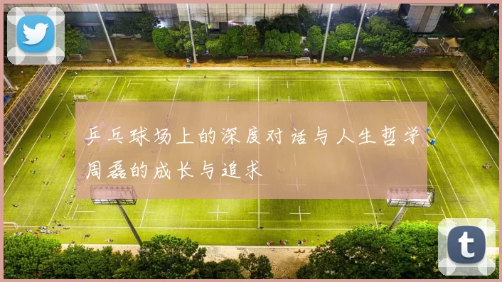 乒乓球场上的深度对话与人生哲学周磊的成长与追求