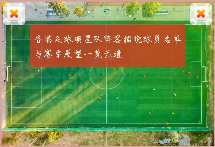 香港足球明星队阵容揭晓球员名单与赛季展望一览无遗