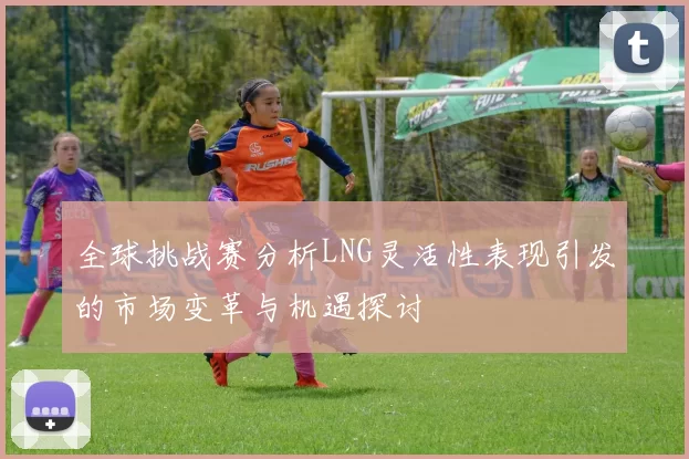 全球挑战赛分析LNG灵活性表现引发的市场变革与机遇探讨