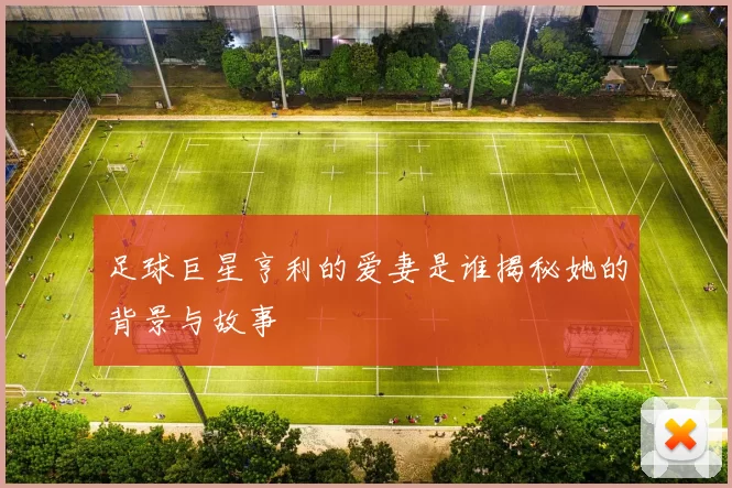 足球巨星亨利的爱妻是谁揭秘她的背景与故事